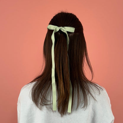 Set of Two Pastel Bows
