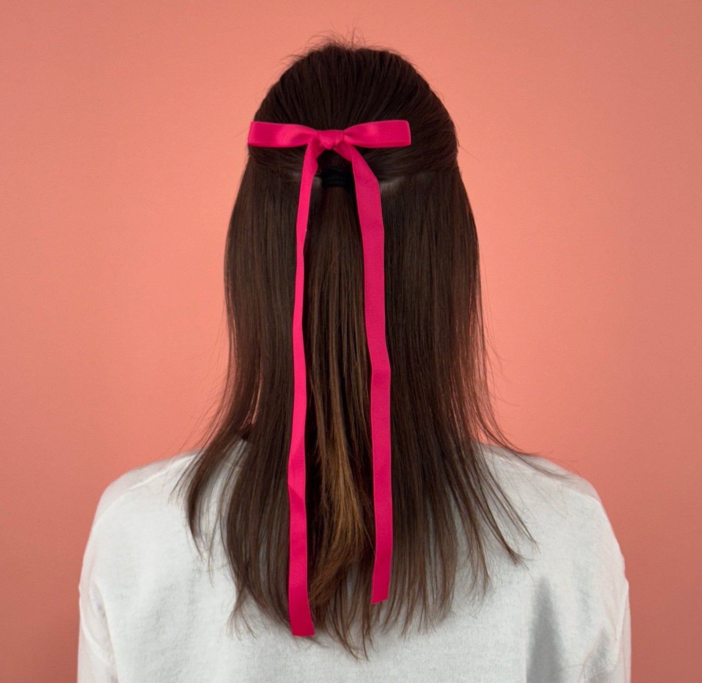 Set of Two Pastel Bows